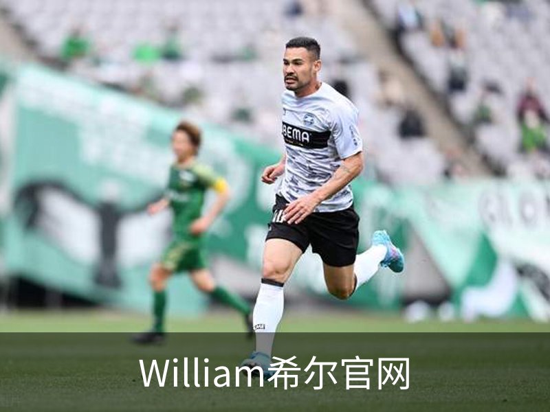 了解William希尔官网